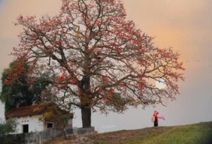 Thời gian bắt đầu tết thanh minh năm 2025